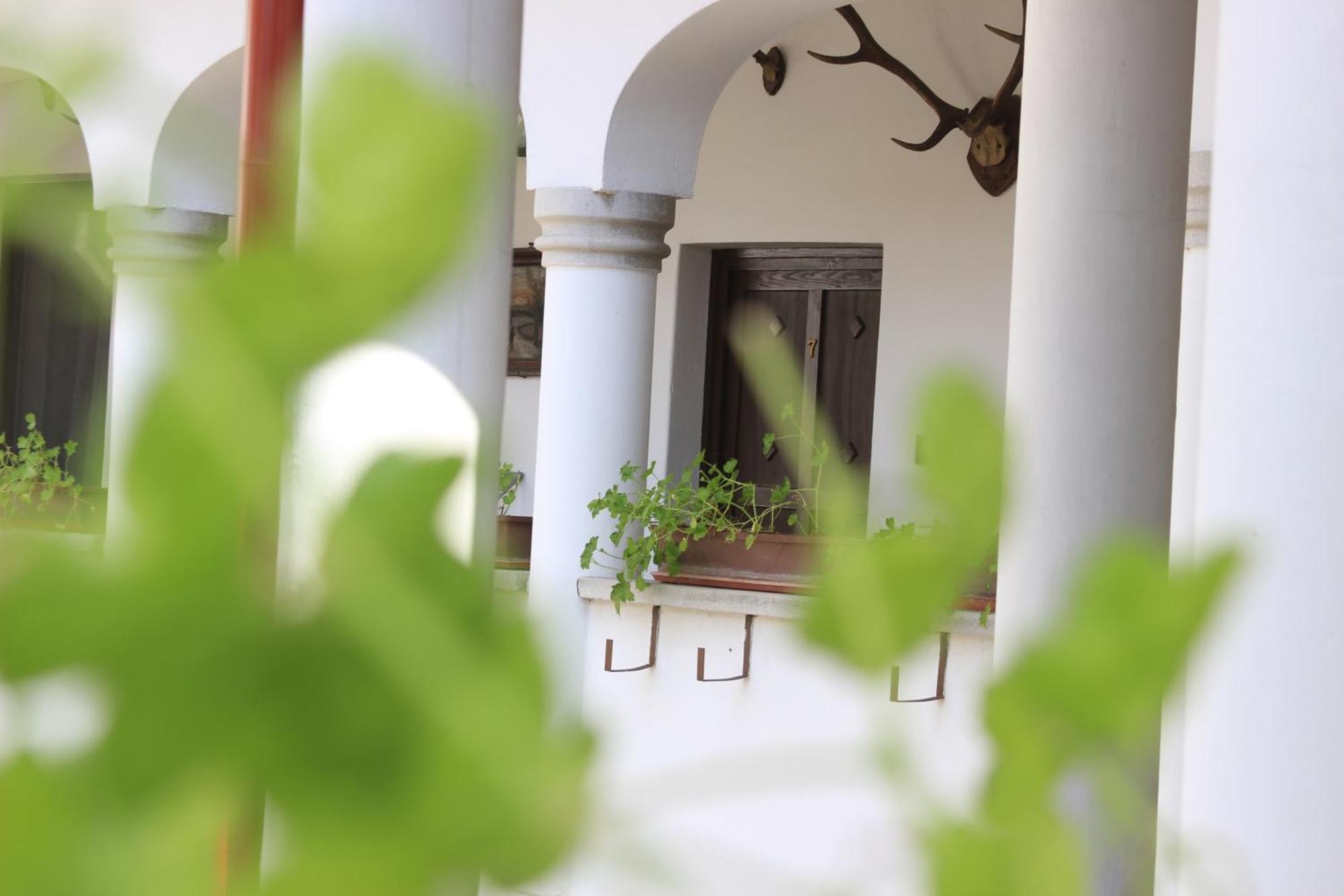 Eden Panzio Bed & Breakfast เอ็กเกอร์ ภายนอก รูปภาพ